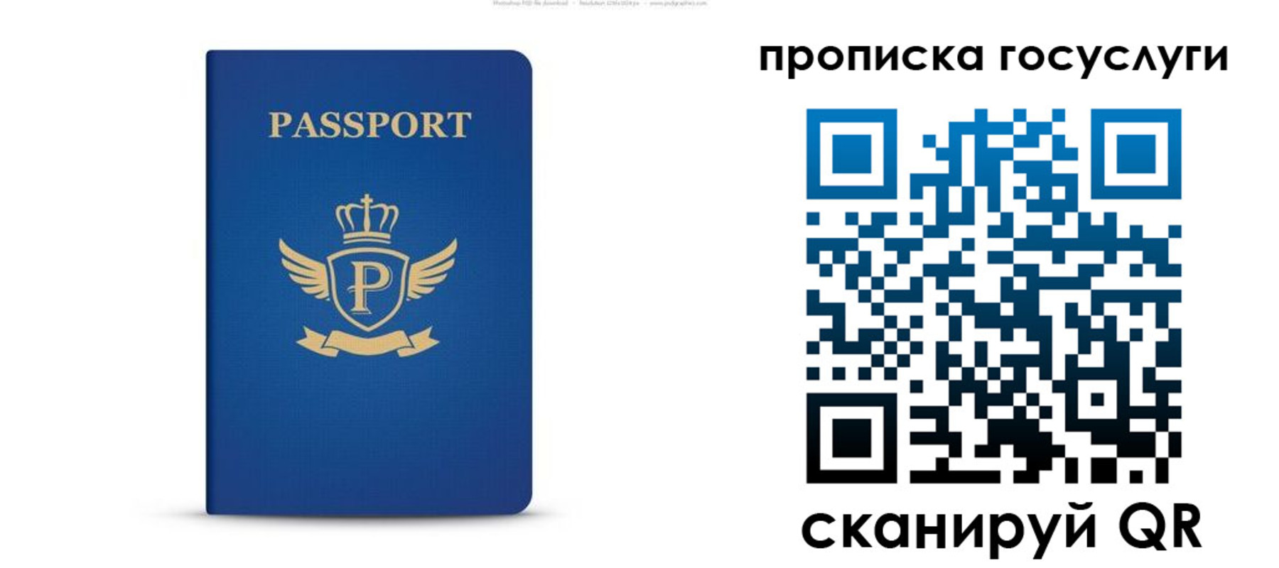 прописка для школы в Волгодонске